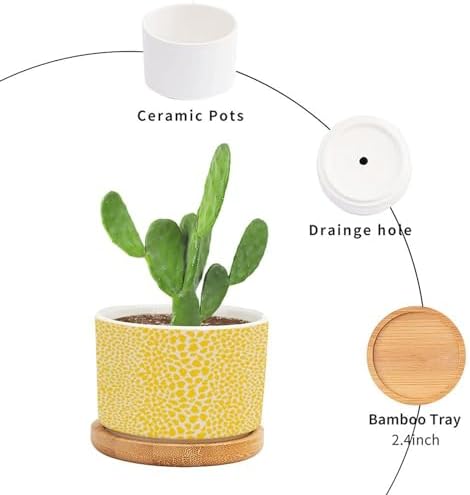 Yellow Leopard Print Planters Ceramic African Animal Stripe Round Plant Pots with Drainage Holes and Bamboo Tray Pot for Home Office Decoration - Image 3
