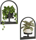 Bamworld Wall Plant Holder Plant Stand Indoor Wall Planters Round by Bamworld