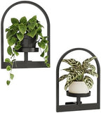Bamworld Wall Plant Holder Plant Stand Indoor Wall Planters Round by Bamworld