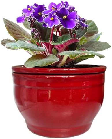 Self Watering African Violet Pots Red 6 inch by Dphagesy