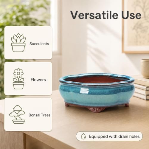 6" Ceramic Succulent Pots, Planters with Drainage Holes, 3 Pack - Image 5