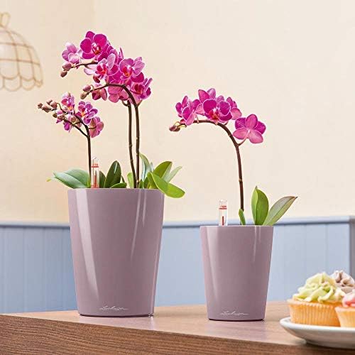 Lechuza 14921 Deltini Self-Watering Garden Planter, Pastel Violet, 6 - Image 2