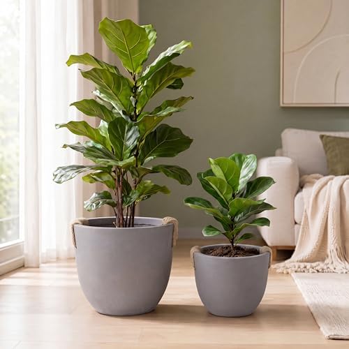 Large Tree Concrete Pot for Indoor, 13"&10" Modern Plant Pot for Home by 1409KMT