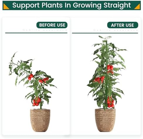 PROWORX 48 Inch 4 Ft Plant Support Garden Stakes for Outdoor Plants, 50 PCS - Image 3
