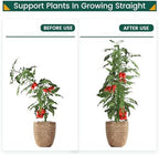 PROWORX 48 Inch 4 Ft Plant Support Garden Stakes for Outdoor Plants, 50 PCS - Image 3