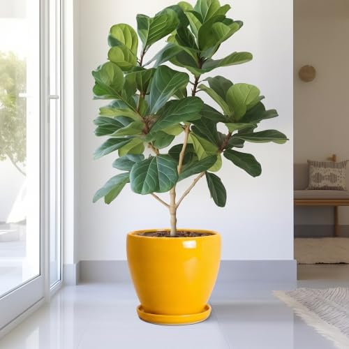 Ceramic Planters, Ceramic 10 Inch Pots for Plants Indoor, Yellow - Image 4