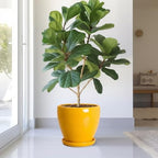 Ceramic Planters, Ceramic 10 Inch Pots for Plants Indoor, Yellow - Image 4