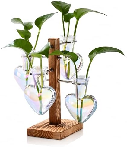 Nacome Plant Terrarium Propagation Stations: Clear Vase with Wooden Stand by Nacome