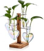 Nacome Plant Terrarium Propagation Stations: Clear Vase with Wooden Stand by Nacome