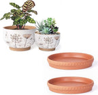 Glazed Terracotta Pot Sets & Saucers Set by YBXYIBOXUAN