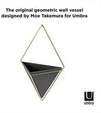 Umbra Trigg Wall Display, Large Geometric Planter Vessel, Black/Brass - Image 4