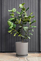 Veradek Mason Series Lima Planter Tray - Image 3