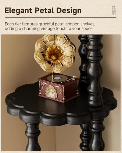 Vintage Corner Shelf 4-Tier, Solid Wood Corner Bookshelf, Black - Image 3