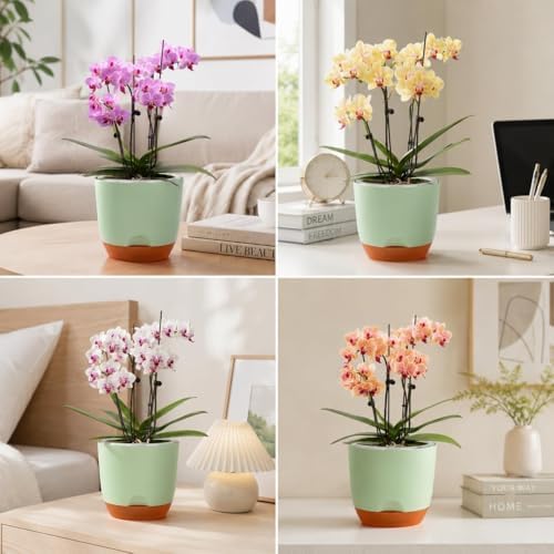 QCQHDU 5.7Inch Orchid Pots with Holes for Repotting, Double-Layer Plastic Self Watering Flower Pots for Indoor Plants with Drainage Holes, Clear Orchid Pot Match Decorative Orchid Container, 3 Packs - Image 6