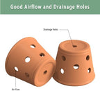 Terracotta Orchid Pots, 6 Inch Orchid Pot with Holes and Saucers 3 Pcs, Clay Orchid Planter Pots for Repotting, Terra Cotta Pot Large Bulk Flower Pot for Indoor Outdoor Promotes Air Circulation - Image 5