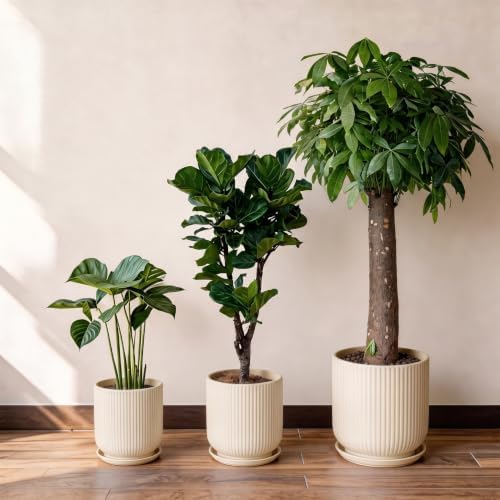 Deep Dream 12 Inch Ceramic Pots for Plants, Heavy Plant Pot for Indoor Outdoor Plants, Large Plant Pot with Drainage Hole and Saucer, Modern Tall Flower Pot, Gifts for Plant Lovers, Cream - Image 6