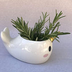 Planter for Succulent Plant Ceramic Plant Pots Indoor, Novelty Planters for Home Office Garden (Wale w Gold Horn, 2) - Image 3