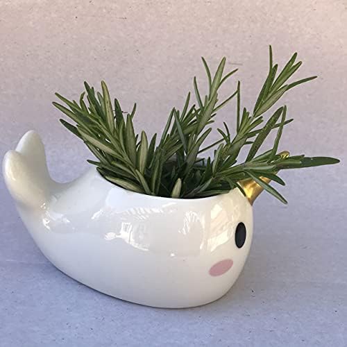 Planter for Succulent Plant Ceramic Plant Pots Indoor, Novelty Planters for Home Office Garden (Wale w Gold Horn, 2) - Image 3