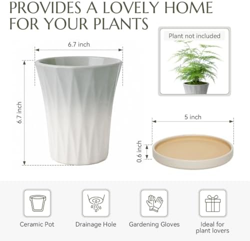 Ceramic Pots for Plants with Saucer(Grey, 6.7 Inch) - Image 5