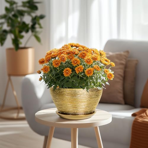 Ceramicfor Ceramic Plant Pot Indoor - 9 Inch Planters for Outdoor Plants Decorative Plant Pot with Drainage Hole and Saucer Round Planter Modern Flower Pot Decorative for House Decor Gold - Image 2