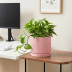 8 Inch Plant Pot, Ceramic Flower Pots, Round Plant Pots, Pink - Image 5
