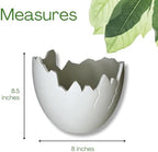 Chatelet Dinosaur Egg Shell Planter | Paintable Cracked Egg Plant Pot for Indoor & Outdoor Use | Succulent, Flower, Herb & Vegetable Planter | Decorative Garden Pot | Made in USA (Large White) - Image 5