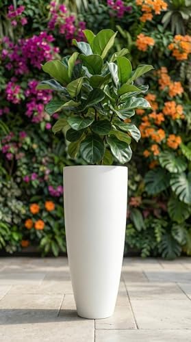 Tall 36" White Fiberglass Planter - Large Modern Lightweight Tapered Round Indoor/Outdoor Elegant Decorative Pot for Plants, Trees & Home Decor - 8" D x 16" W x 36.4" H - Image 6