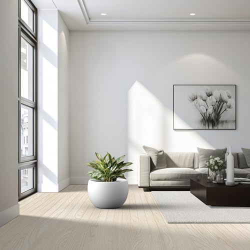 Kante Large Round Bowl White Concrete Planter 20" Dia, Outdoor - Image 5