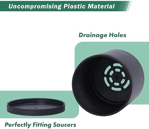 D'vine Dev 12-Pack Mini Black Plastic Planters with Saucers, 3 in, 74-Y-C-4 - Image 4