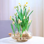 SUPVOX Clear Fish Tank Plastic Vase Bowl Wide Mouth Flower Vase Round Terrarium Plastic Hydroponic Planter Floral Container Clear Fish Bowl for Table Centerpiece Home Decoration 2800ml - Image 5