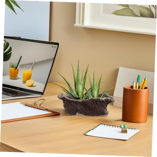 Vintage Creative Cement Tree Root Planter for Indoor Succulents - Image 6