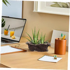 Vintage Creative Cement Tree Root Planter for Indoor Succulents - Image 6