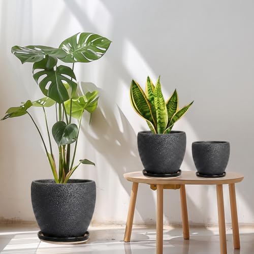 Ceramic 10+8+6 Inch Planter, Ceramic Pots for Plants, Relief Black - Image 2