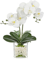 White Orchids Artificial Flowers 16.1" Faux Orchids Plant in Pot Fake Flower Arrangements with Glass Vases Small White Centerpieces for Kitchen Dining Room Tables Bathroom Nightstand Shelf Desk Decor by Oairse