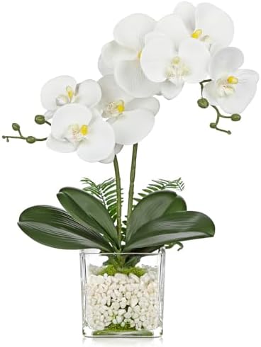 White Orchids Artificial Flowers 16.1" Faux Orchids Plant in Pot Fake Flower Arrangements with Glass Vases Small White Centerpieces for Kitchen Dining Room Tables Bathroom Nightstand Shelf Desk Decor by Oairse
