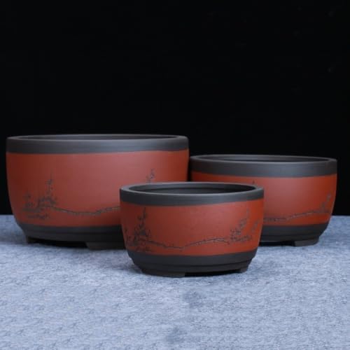 LNPTAL Asian Bonsai Pot, Red Clay Ceramic Succulent Planter with Plum Blossom Engraving, Round Chinese Style Flower Pot for Indoor Plants(21cm*25.5cm) - Image 2