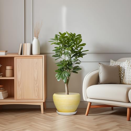 Ceramic Planter 10 Inch, Ceramic Pots for Plants, Textured Yellow - Image 6