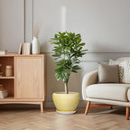 Ceramic Planter 10 Inch, Ceramic Pots for Plants, Textured Yellow - Image 6
