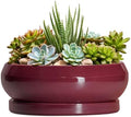 Succulent Pots - 8 Inch Bonsai Pots for Indoor Outdoor, Shallow Ceramic Planter with Drainage Hole and Saucer, Round Flower Succulent Planters, Apartment Decor, Gardening Gift, Wine Red by EPFamily