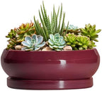 Succulent Pots - 8 Inch Bonsai Pots for Indoor Outdoor, Shallow Ceramic Planter with Drainage Hole and Saucer, Round Flower Succulent Planters, Apartment Decor, Gardening Gift, Wine Red by EPFamily