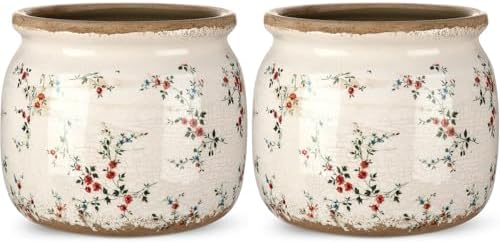 2 Pcs Vintage Planter Ceramic Plants Pot with Drainage Ice Crack Scroll Flower Vase Pot for Indoor Outdoor Plants Home Kitchen Decor Gifts(Rustic Rose,5.9") by Unknown