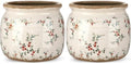 2 Pcs Vintage Planter Ceramic Plants Pot with Drainage Ice Crack Scroll Flower Vase Pot for Indoor Outdoor Plants Home Kitchen Decor Gifts(Rustic Rose,5.9") by Unknown