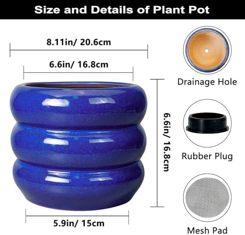 SQOWL 8 Inch Plant Pot - Ceramic Planter Indoor Plant Pot with Drainage Hole Outdoor Flower Pot Round Decorative Plant Pots for Kitchen Counter Desk Decor Blue - Image 3