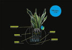 Lechuza Puro Color 50 Slate, Self-Watering Large Round Planter, D19.7 H15.4 in - Image 4