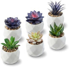 MyGift Blue & Green Artificial Succulent Plants, Ceramic Pots, Set of 6 by MyGiftHome