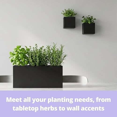 LaLaGreen Wall Planters (3-Pack Set) Rectangular Wall Mounted Hanging Flower Boxes for Indoor Plants, Black Carbon Steel Metal Windox Box Planter Plant Modern Balcony Windowsill Herb Home Garden Decor - Image 4