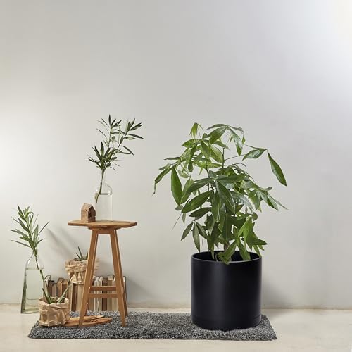 D'vine Dev Plastic Planter Pot with Saucer, 16 in, Black, 74-X-B-5 - Image 5