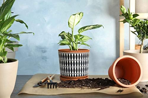 D'vine Dev Set of 2 Terracotta Pots, 4 Inch and 6 Inch, Planter Pots for Plants with Drainage Holes and Saucers, Pottery Red/Black, 31-958-B-2 - Image 6