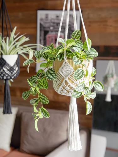 Hanging Planter with Patterns,4Packs Macrame Plant Hangers Indoor Macrame for up to 8 inch Pot Crochet Boho Plant Hanger Holder for Indoor Outdoor with 4 Stainless Steel Hooks (4Pcs White Colors) - Image 5