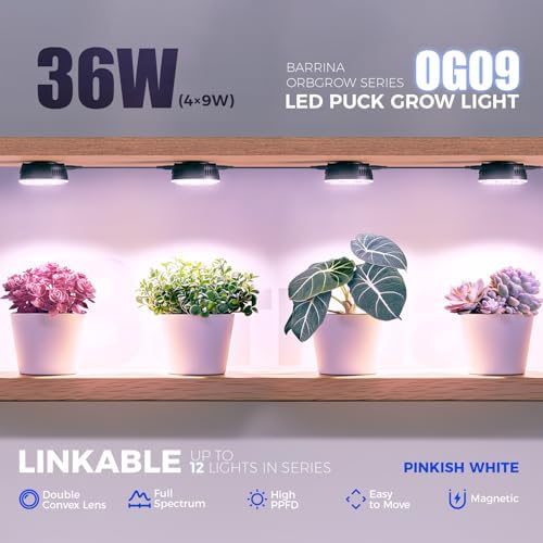 Barrina OG09 Grow Light, 36W(4 x 9W), Pinkish White, Timer, 4 Packs, Black - Image 3